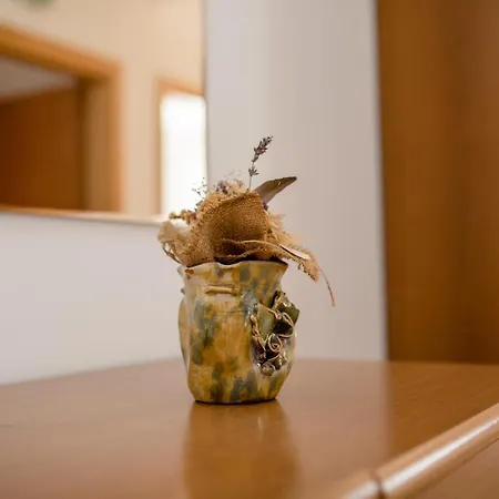 Guest house Silvana In *